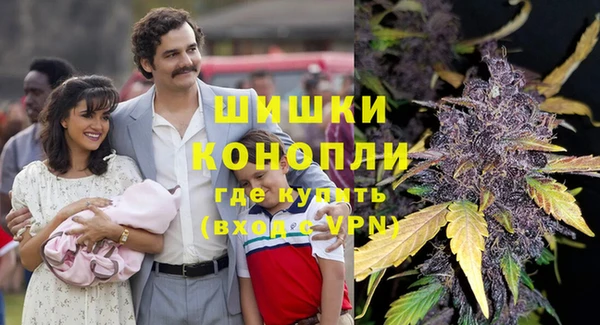 прущий лед Вяземский