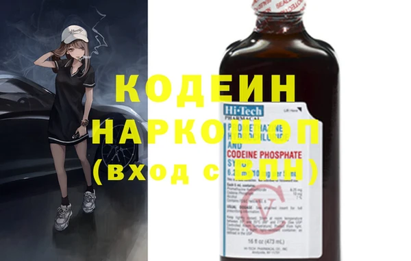 прущий лед Вяземский