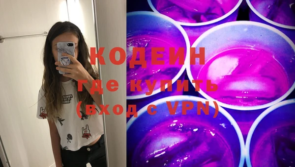 прущий лед Вяземский