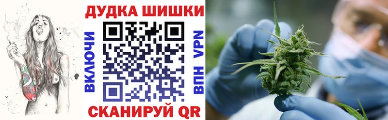 Конопля ГИДРОПОН Дно